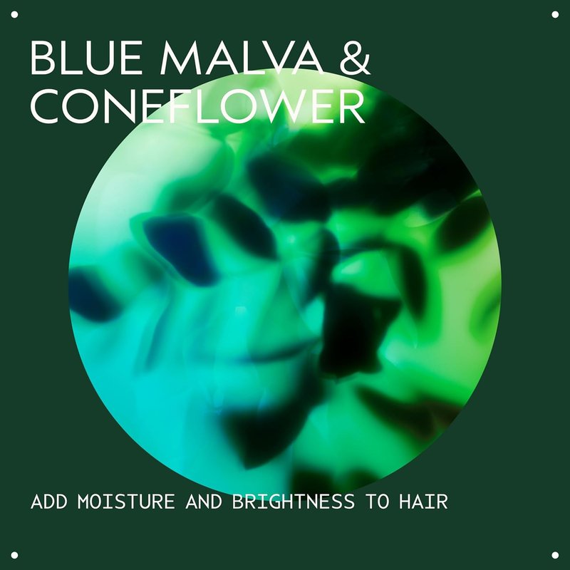 Aveda Blue Malva Color Conditioner - Purple Conditioner for Silver, Gray & Blonde Hair | Neutralizes Brassiness | 8.5 Fl Oz