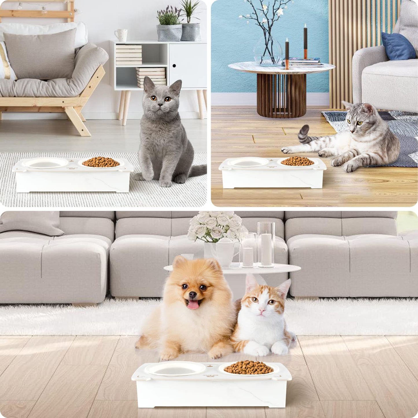 Elevated Cat Bowls, Tilted Raised Cat Food Ceramic Bowls with Stand Pet Bowl Cat Dishes for Food and Water with No-Spill Porcelain Pet Dishes for Cats and Small Dogs