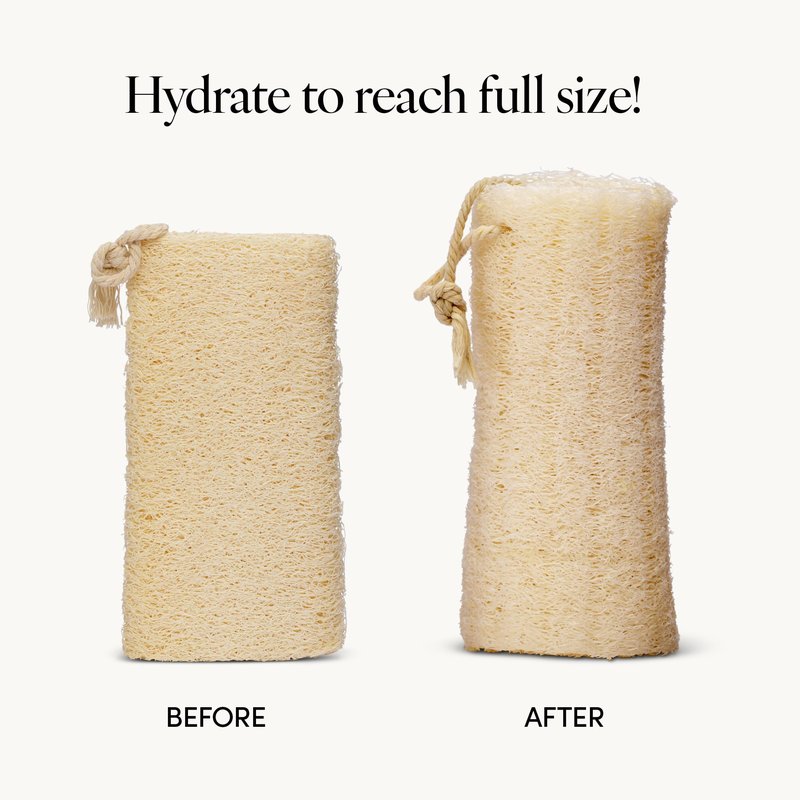 LATHER - Natural Loofah 5-6" (2 Pack) Exfoliating Body Scrubber & Shower Loofah - Gentle Cleansing - Cotton Rope to Hang Dry - Shower Accessories - Plant Based, Vegan, Cruelty Free - Beauty, Skin Care