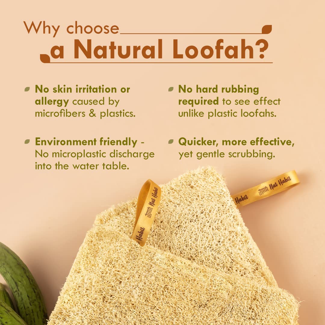 Nat Habit - Back to Natural Secrets Everyday Natural Sun Dried Bath Loofah, Body Sponge & Scrubber for Men & Women, Organic Luffa for Bath Shower Skin Exfoliation 2 Count (Pack of 1) Brown