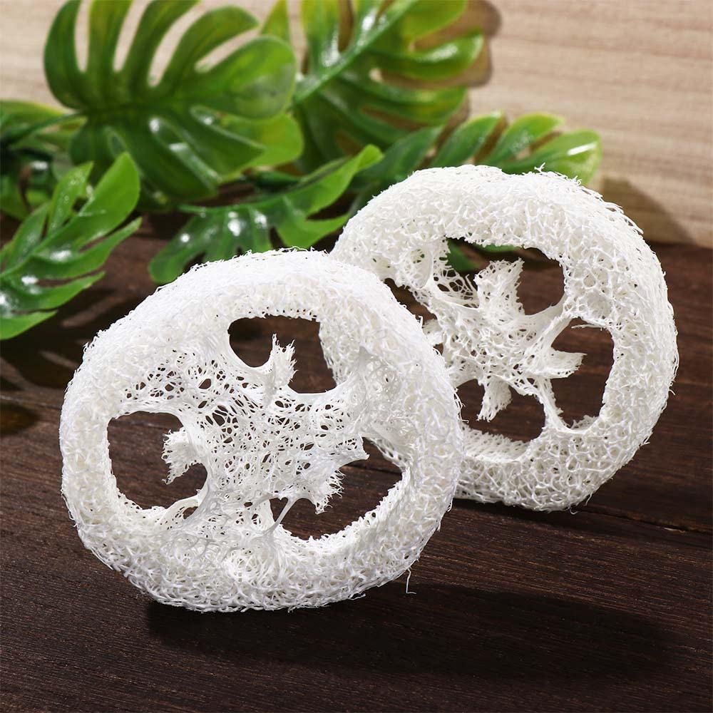Leadigol 50 Pieces Loofah Sponge,2 inch, Small Natural Loofah Slices,Natural Loofah Sponges, Soap Making Tools,Loofah Sponge Scrubber,Soap Saver Pads Soap Holder
