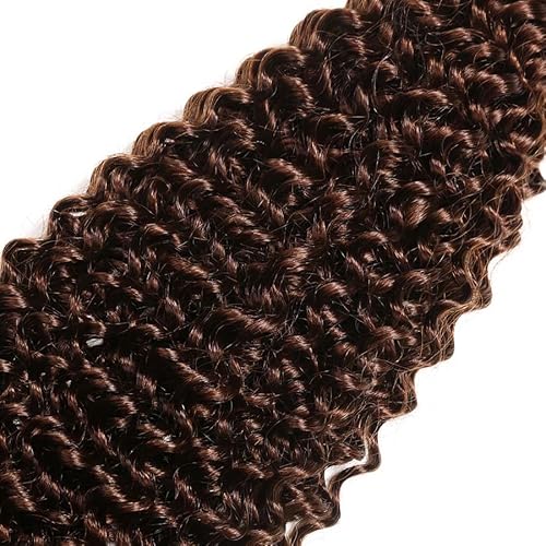 Color 4 Kinky Curly Human Hair Dark Brown Bundles Brown Curly Wave Human Hair Bundles Brazilian Hair Wet and Wavy Bundle Silky Soft(20 22 24) inch