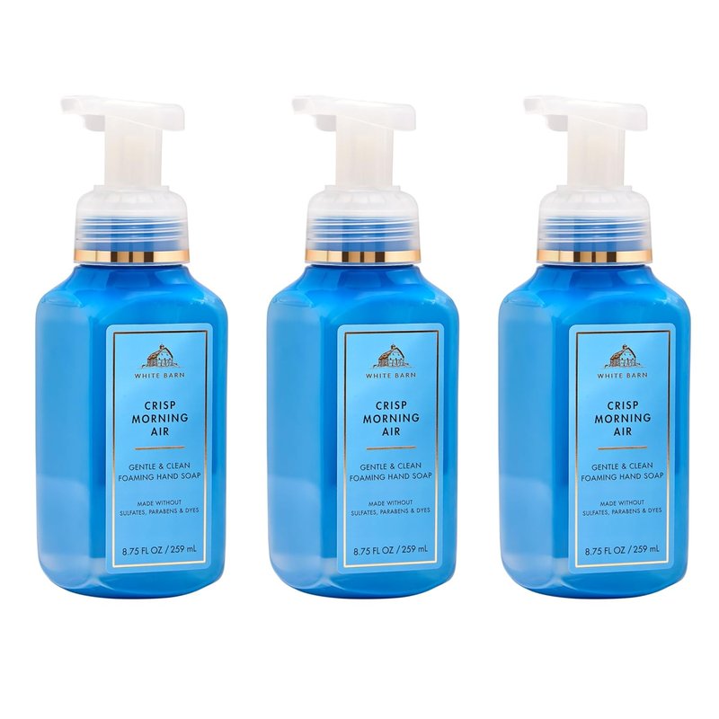 Bath & Body Works Foaming Hand Soap - Crisp Morning Air - Gentle Cleansing & Conditioning Formula | 3-Pack