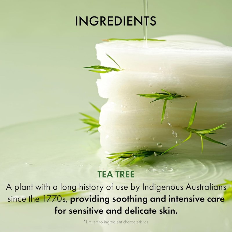 Dr.Ceuracle Tea Tree Toner Pads - Mild Exfoliating Pore Care | 60 Double-Textured Face Pads with PHA, Zinc PCA, Niacinamide