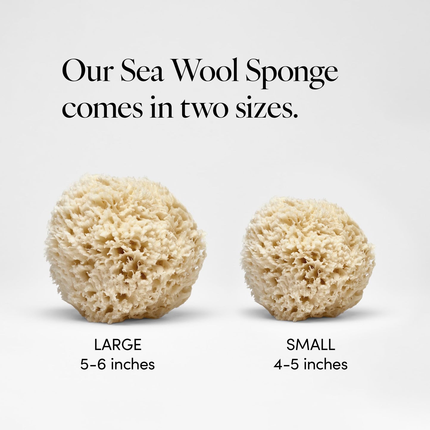 LATHER - Natural Sea Wool Sponge, 4-5" - Organic Exfoliating Body Scrubber - Soft, Gentle Cleansing - Hypoallergenic - All Skin Types - Florida Natural Loofah Sponge - Cruelty Free - Beauty & Skincare