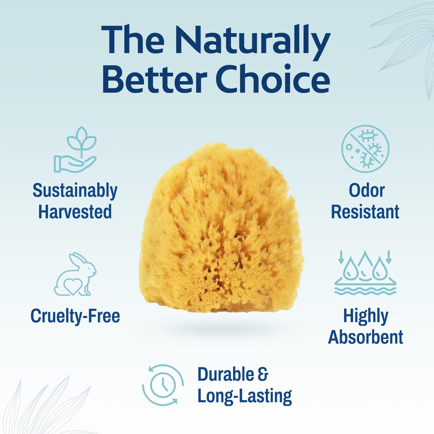 HartFelt Exfoliating Grass Sea Sponge Beauty Box | 2 Bath Sponges for Shower Women & Men 4in | Natural Sponge with Mesh Bag for Cleaning & Drying | Cleanses Skin from Dirt & Excess Oil - Gift Box