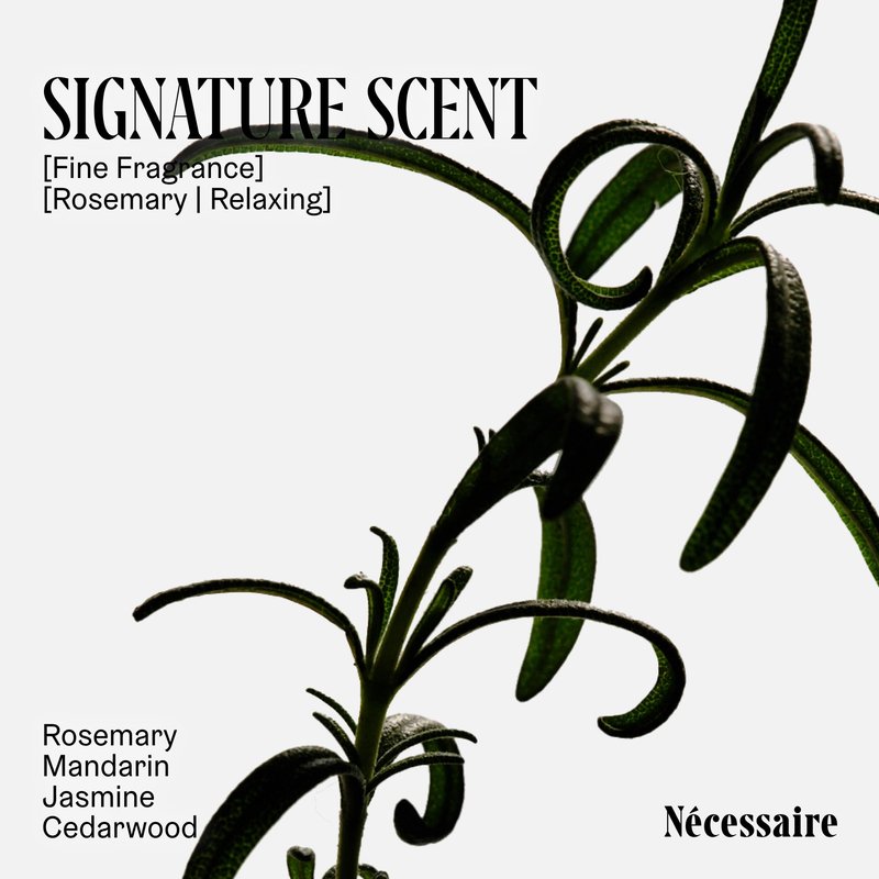 Nécessaire Rosemary Hair Duo | Multi-Protein Strengthening Rosemary Shampoo and Conditioner Set For Thinning Hair. For Women + Men. Free Of Sulfates. Color-Safe. 250 ml / 8.4 oz