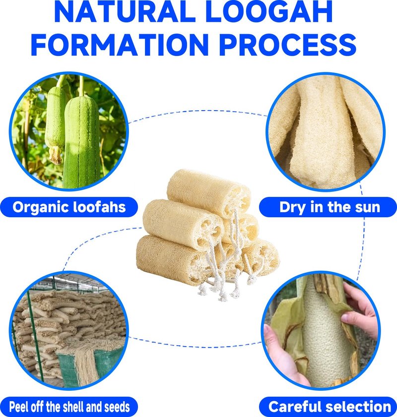 Dismok Loofah Exfoliating Body Scrubber, Natural Egyptian Loofah for Body & Face, Scratch-Free, Eco Friendly Shower Loofah for Women & Men (6-Pack)