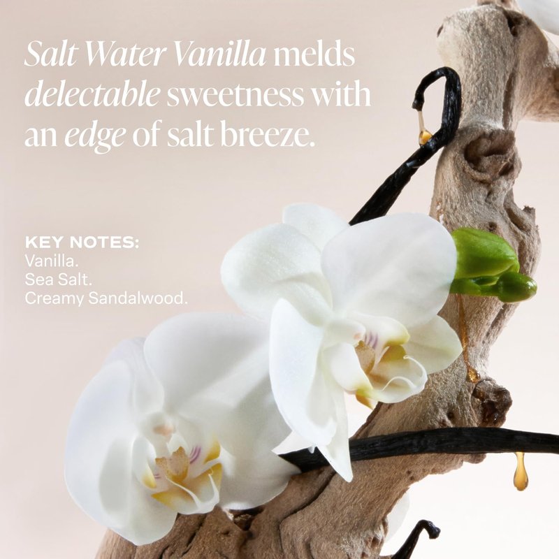 Saltair Multi-Lipid Body Butter - Rich, Nourishing Hydrating Body Cream with Ceramide Complex, Coconut Oil, Shea Butter, and Sea Buckthorn. Moisturizing Dry Skin Care. 10oz Jar - Salt Water Vanilla