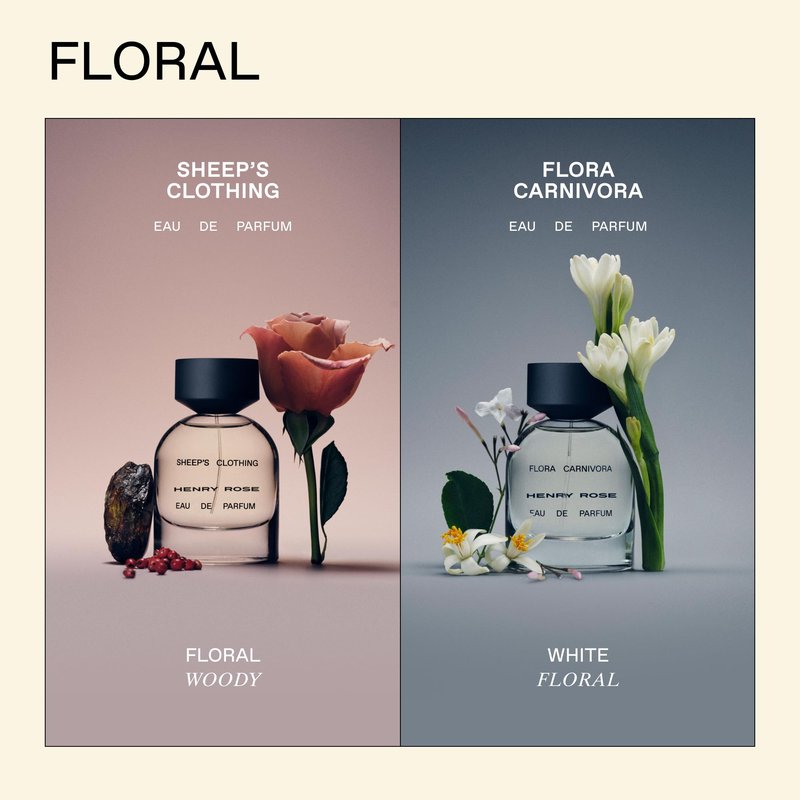 Henry Rose Full Collection Discovery Set - Travel Size Perfume Set with Clean, Gender-Inclusive Eau de Parfum Scents - Natural, Non Toxic, and Cruelty-Free Fragrance Gift (12 ct)