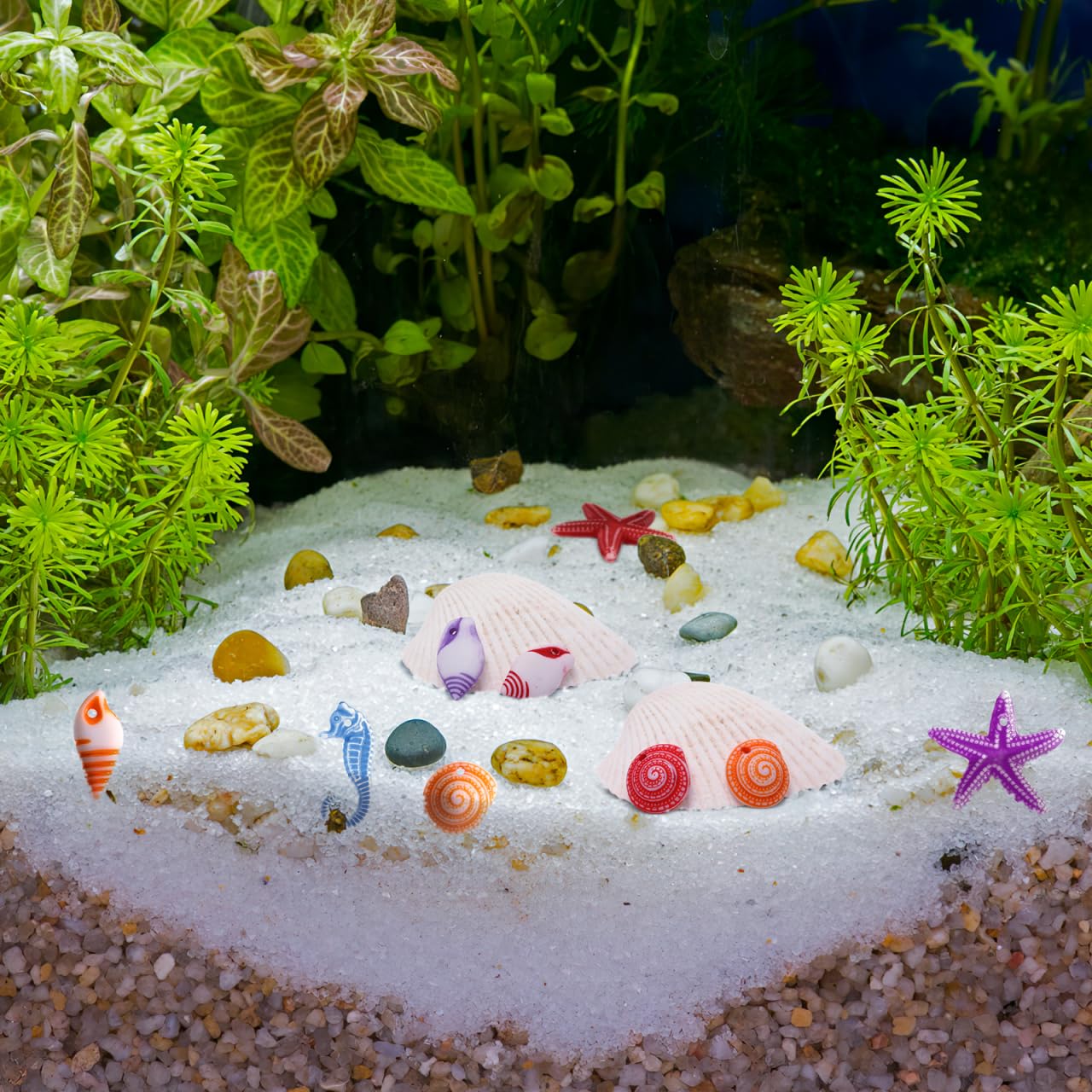 TENDYCOCO Mini Beach Seashells Sea Star Seahorse Natural Conch for Home Decorations Beach Theme Party Wedding DIY Crafts Fish Tank Vase Fillers Bonsai Decor 48pcs
