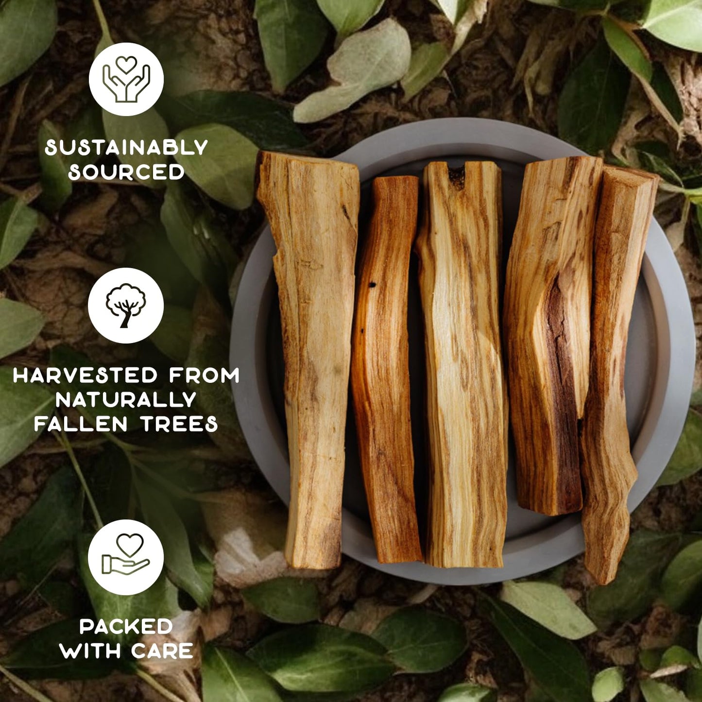 Purple Canyon Palo Santo Incense Sticks - 8 Pack | Sustainably Harvested Natural Incense for Smudging, Meditation, Cleansing, and Stress Relief