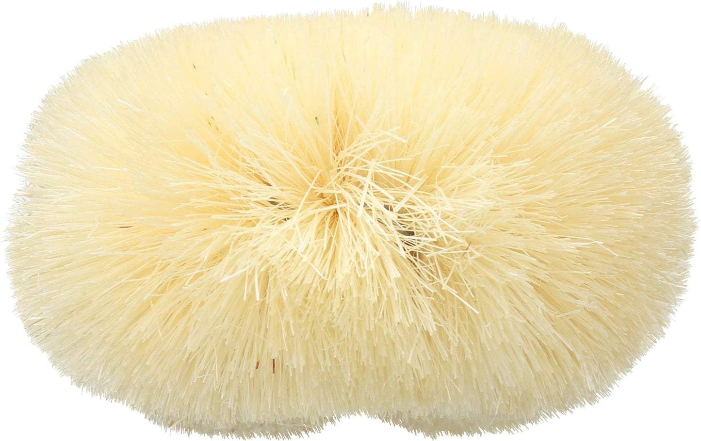 Baudelaire Sisal Bath Brush for Shower - 9 in - Traditional Japanese-Style Loofah Brush for Excellent Body Exfoliation - Essential Back Scrubber That Freely Removes Dead Cells.