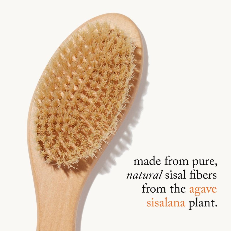 goop Beauty Dry Brush | Detoxifying Body Exfoliator | Wooden Handle with Natural Biodegradable Sisal Fibers | Sweeps Away Dead Skin | FSC Certified