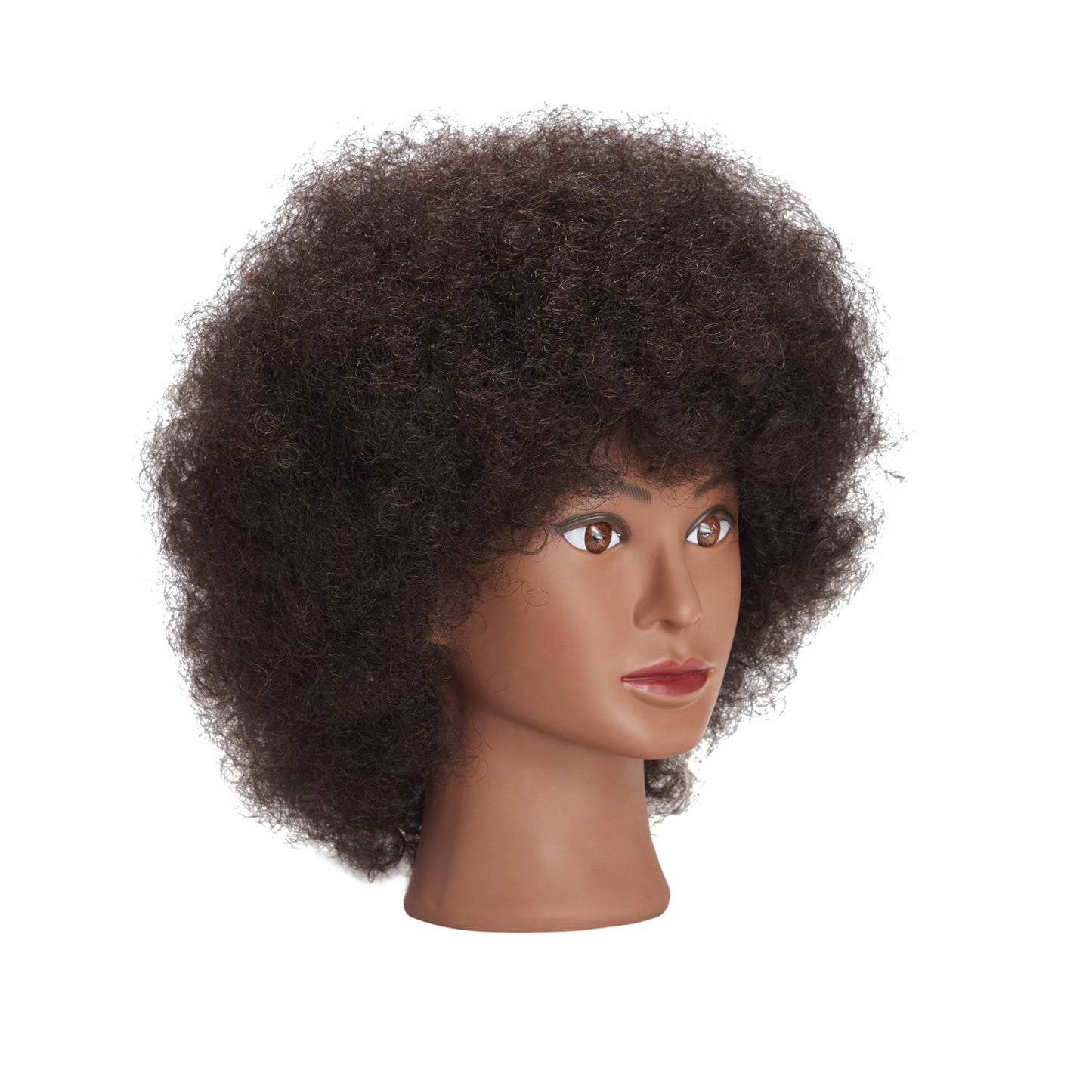 Traininghead 100% Real Hair Mannequin Head - Cosmetology Practice Doll with Free Clamp Holder | 10-Inch Afro Hair