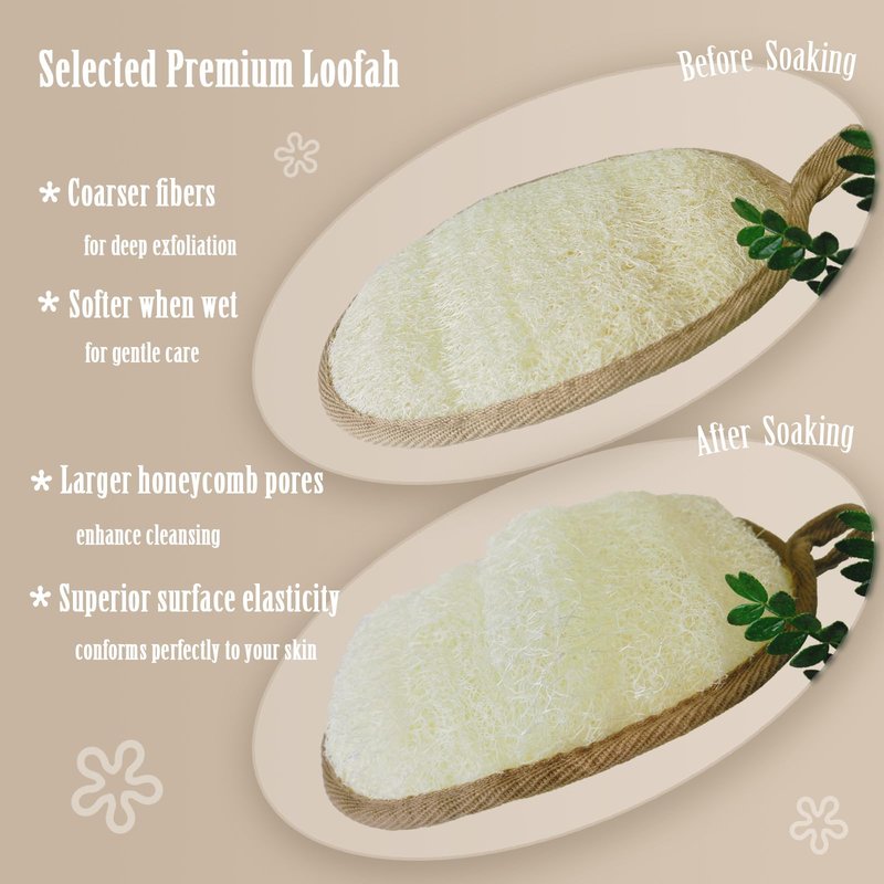 ReedChaCha Natural Loofah Sponge for Women & Men, Made with Biodegradable Egyptian Luffa, Plastic-Free Bath Sponge for Exfoliating Dead Skin, Lightly Abrasive Natural Loofah Body Scrubber for Shower