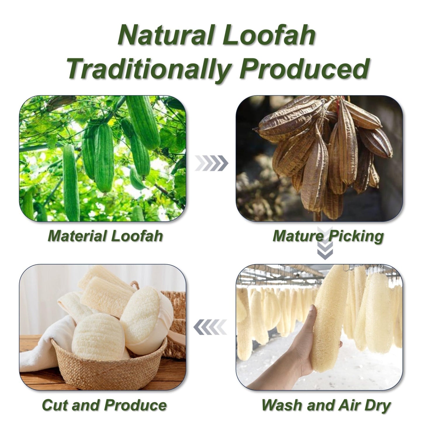 YUNKWONG Natural Loofah Sponge, Exfoliating Body Scrubber for Men Women, Loofah with Handle, Exfoliating Back Scrubber for Shower Set, Deeply Clean & Invigorate Your Skin (5 pcs in Box)