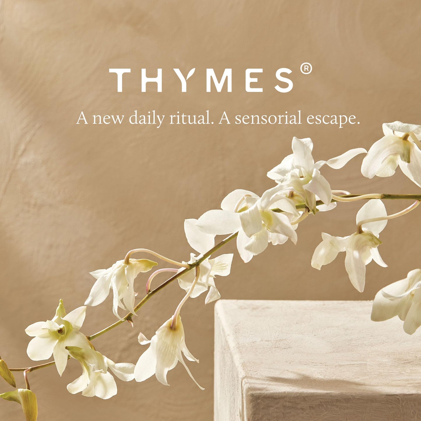 Thymes Nourishing Hand Wash - Liquid Hand Soap for Bathroom or Kitchen - Liquid Soap with Notes of Eucalyptus Oil, Lemon, Petitgrain, Bergamot, Lemongrass, & Lush Fir (Eucalyptus, 9.4 fl oz)