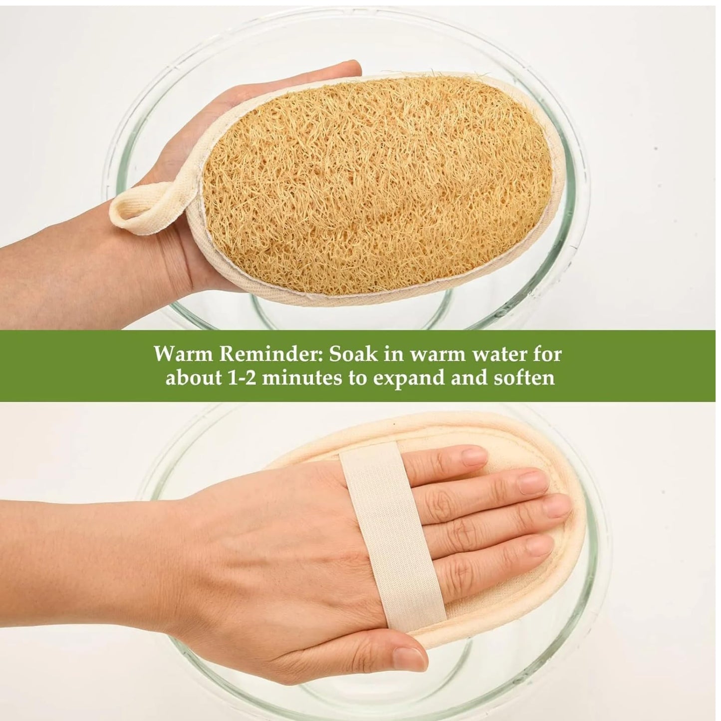 Natural Loofah Sponge – Premium Egyptian Shower Exfoliating Loofah, Lufas for Men and Women, 2‑Count
