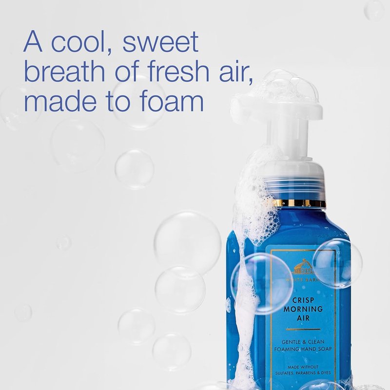 Bath & Body Works Foaming Hand Soap - Crisp Morning Air - Gentle Cleansing & Conditioning Formula | 3-Pack