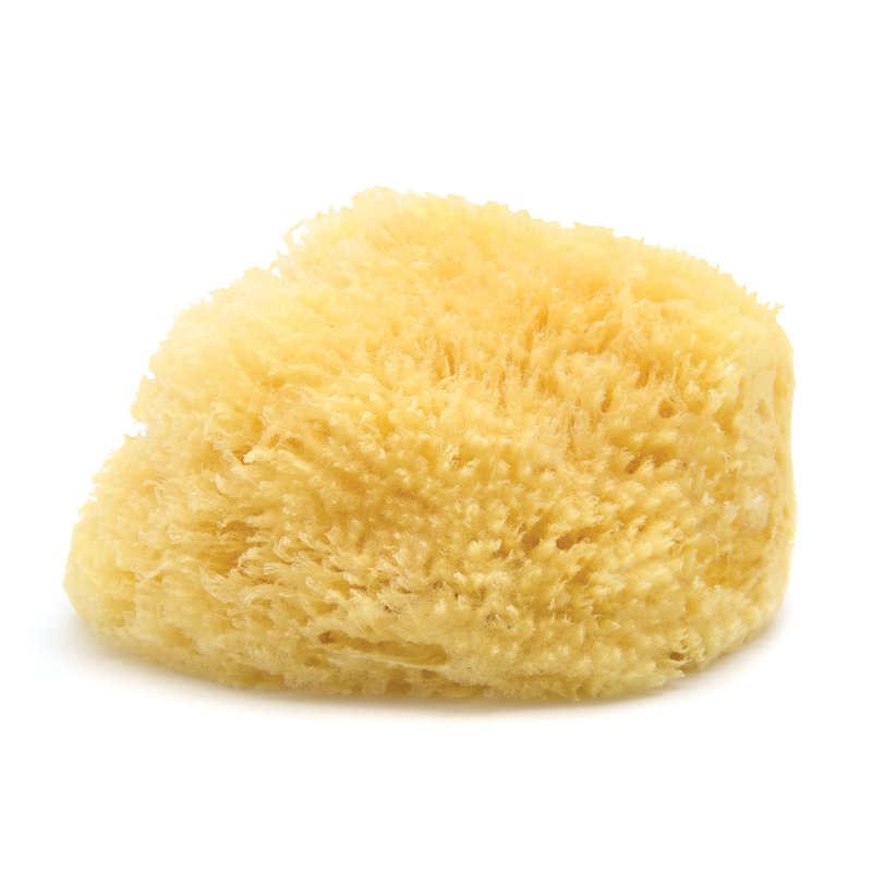 Neptune Caribbean Sea Sponge, Approx. 8"", 1 Count (Pack of 1), Yellow
