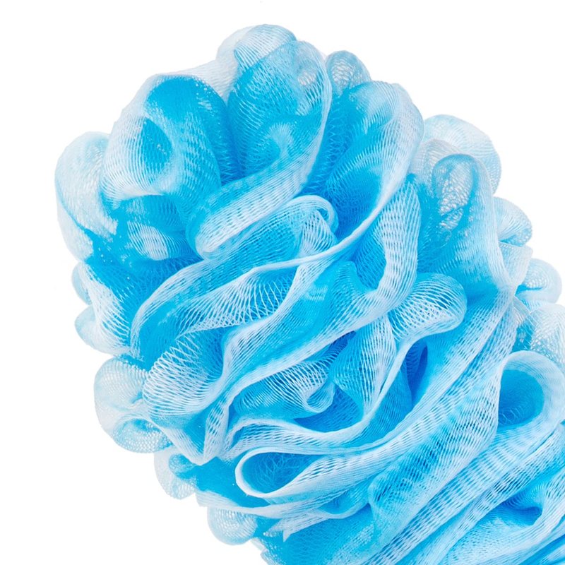 Arswin Loofah Back Scrubber for Shower,Loofah On a Stick,Anti-Slip Long Handle Bath Sponge Shower Brush,Soft Nylon Mesh Body Brush for Women&Men (Pack of 2, Blue)