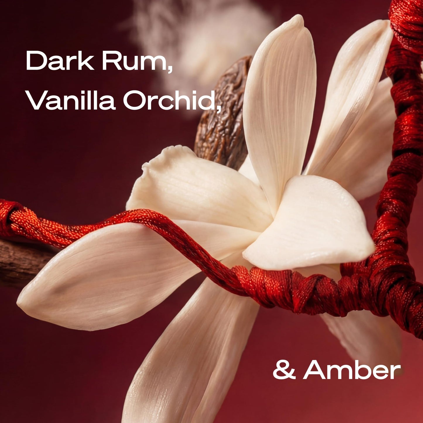 STRING THEORY Pheromone Perfume for Women - Spicy & Sweet Vanilla Amber Boozy Gourmand Musk - Dark Rum, Vanilla, Creamy Tonka Bean - Lasts 4-6 Hrs Long - Pheromones Phero-Mimetic Eau de Parfum Perfume