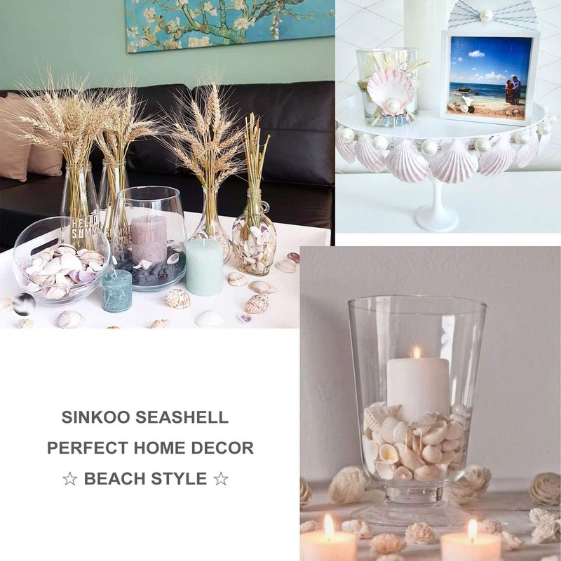 SINKOO Bulk Natural White Small Seashell Clam Super Shells Assortment for DIY Craft Beach Decor