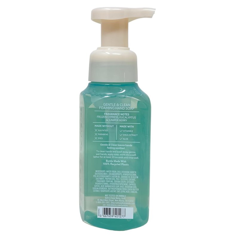 Frozen Lake Foaming Hand Soap - Gentle Clean Formula | Includes Peach Gardenia Sample
