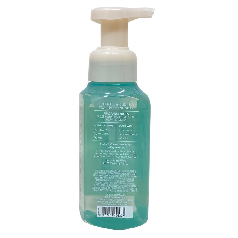 Bath & Body Works Frozen Lake - 2 Gentle & Clean Foaming Hand Soap - with a Peach Gardenia Sample Soap