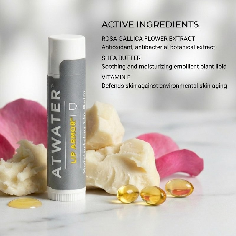 ATWATER Lip Armor Moisturizing Lip Balm Stick for Dry, Chapped Lips, Low-Shine Hydrating Lip Care with Shea Butter, Vitamin E & Squalane, Fragrance-Free Lip Balm