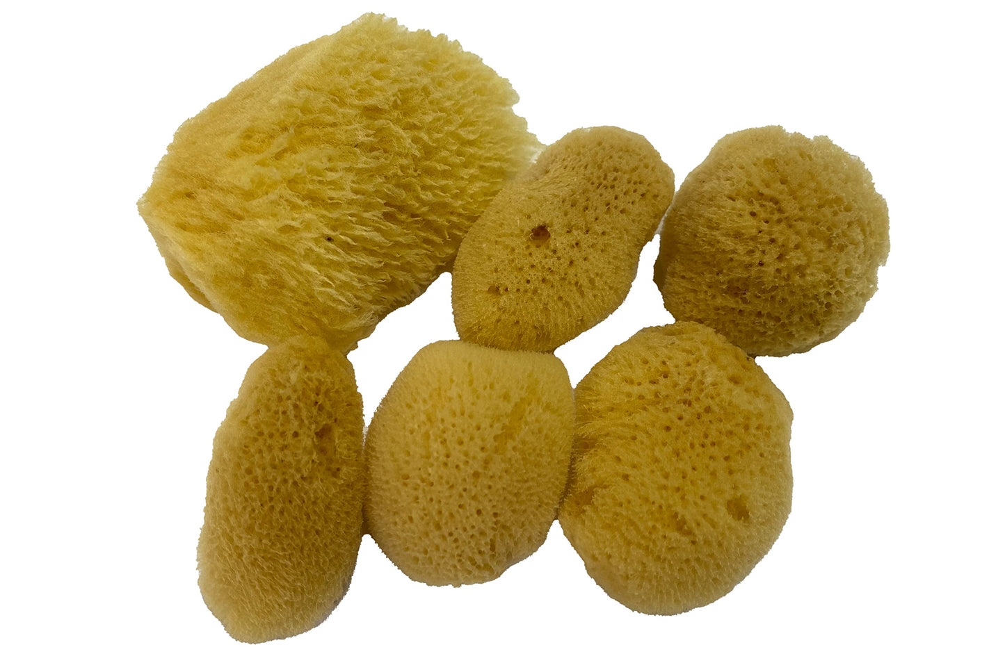 Soft Natural 6 Silk Sponges 1.5"-3" Cosmetic Makeup Application Removal Face Eye Nail Cleaning Like Cotton Balls Awesome Aquatic Creating The Perfect Home Bath & Shower Experience
