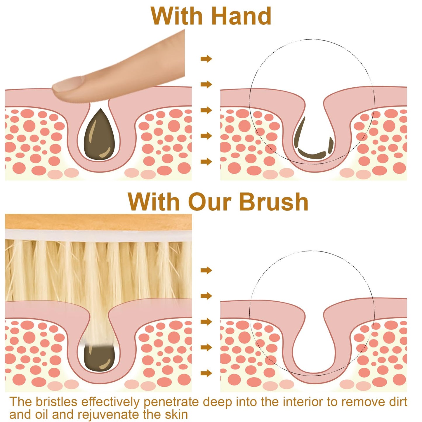 16.5 Inches Back Scrubber for Shower with Curved Long Handle,Wet&Dry Brushing Body Brush,Natural Bristles,Back Scrubber Bath Tool for Men & Women