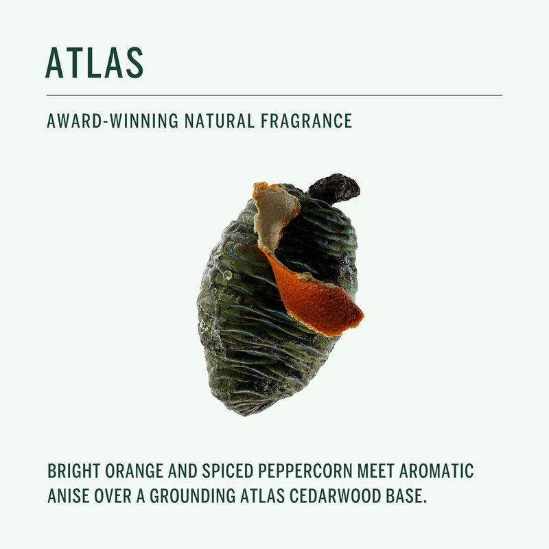 CORPUS Natural Deodorant Stick for Sensitive Skin - Aluminum & Baking Soda Free | Unisex, Non-Toxic, Made in the USA