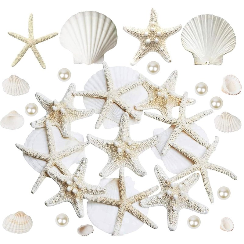 JQAQJU 16PCS Starfish and Scallop Shells for Crafts 3"-4" with Pearls, Natural Sea Shells for Crafting Beach Party Christmas Decor DIY