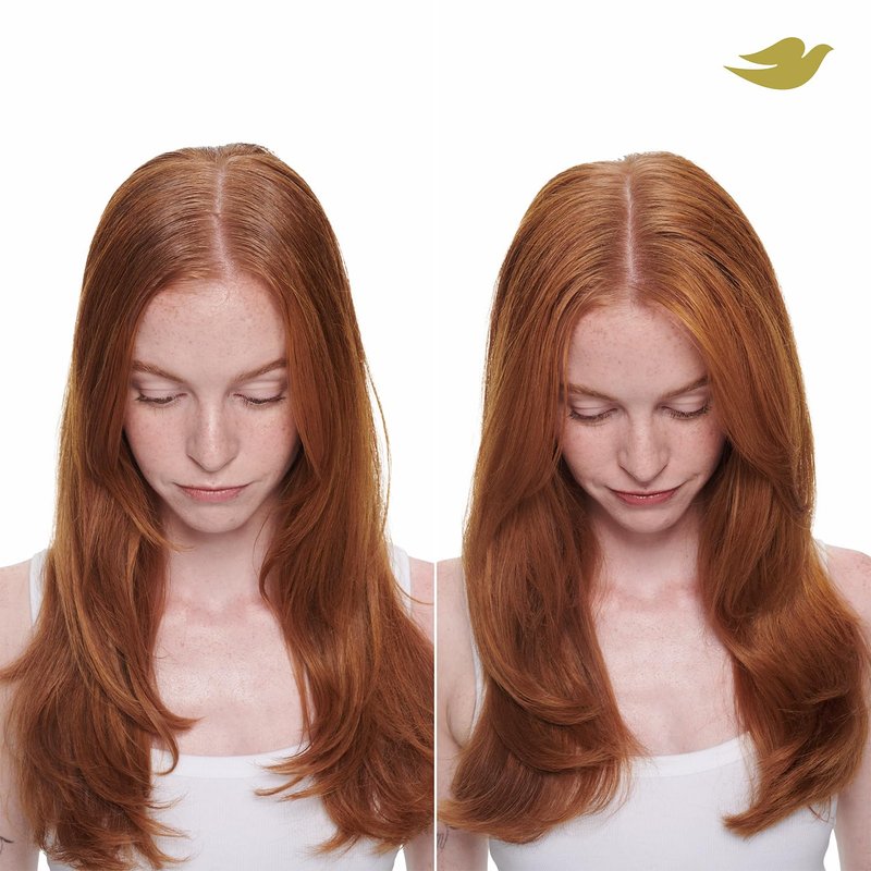 Dove Shampoo and Conditioner Set, Volume & Fullness + Advanced Dry Shampoo – Refresh & Revive Thin, Flat and Dry, Damaged Hair (3 Piece Set)
