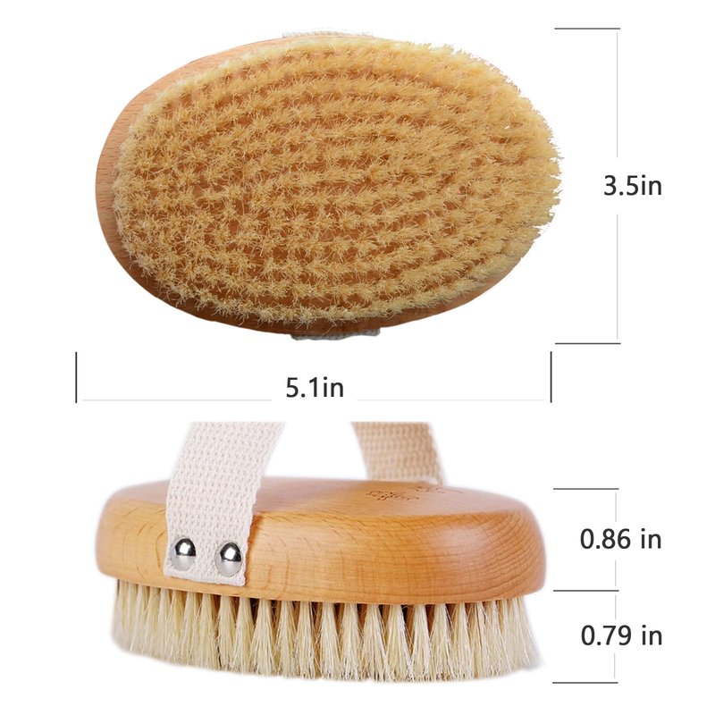 EnamelEVO Dry Brush with Natural Boar Bristle, Exfoliation Oval Body Brush for Women, Lymphatic Drainage with Anti-Slip Strap(1 Pack)
