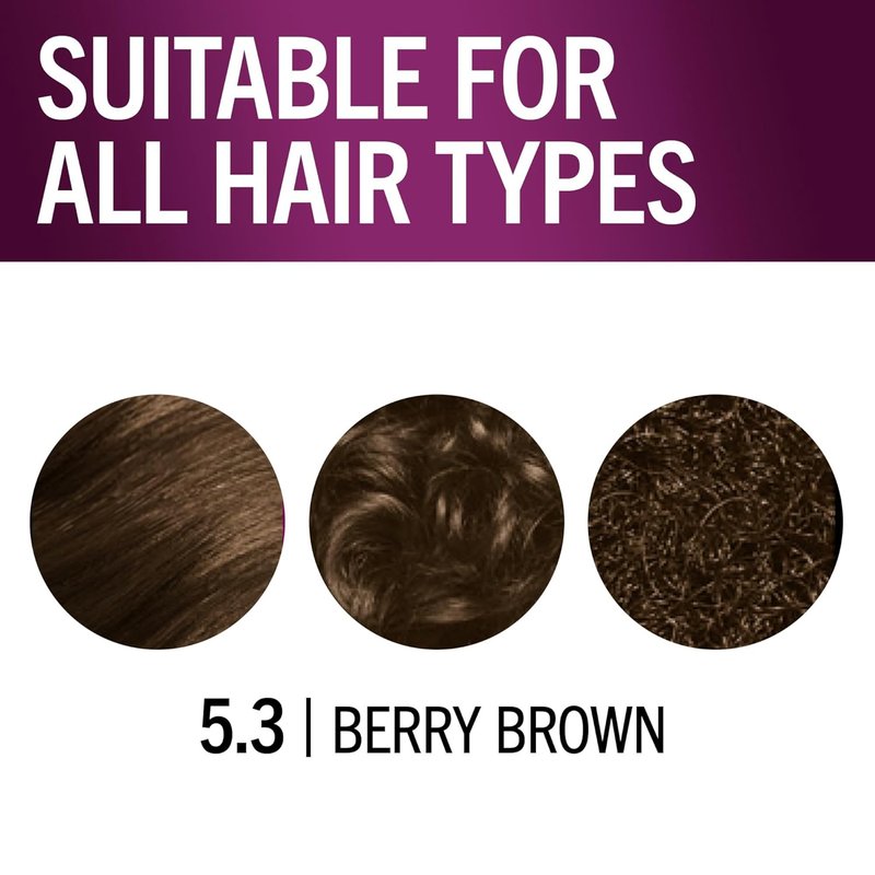 Schwarzkopf Keratin Hair Dye Cream - 5.3 Berry Brown | Professional Gray Coverage & Bond Enforcing System