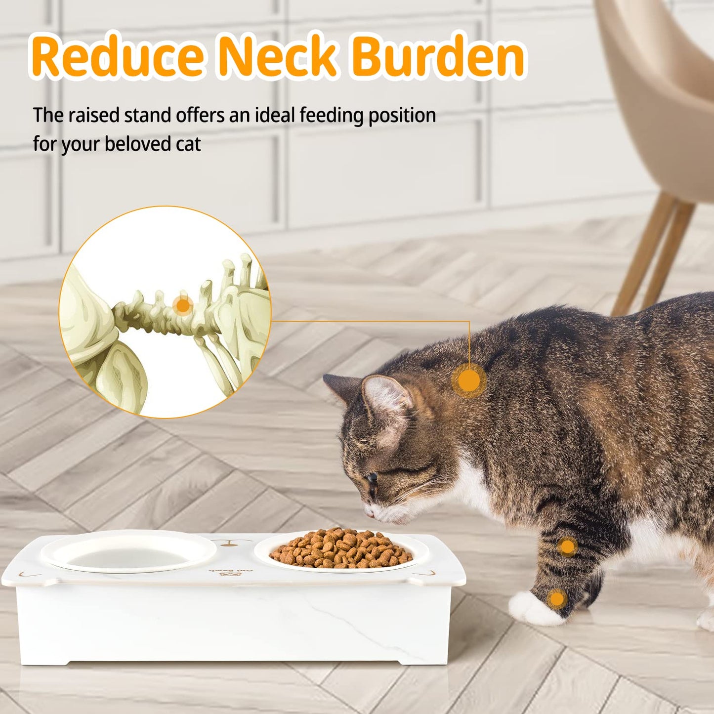 Elevated Cat Bowls, Tilted Raised Cat Food Ceramic Bowls with Stand Pet Bowl Cat Dishes for Food and Water with No-Spill Porcelain Pet Dishes for Cats and Small Dogs