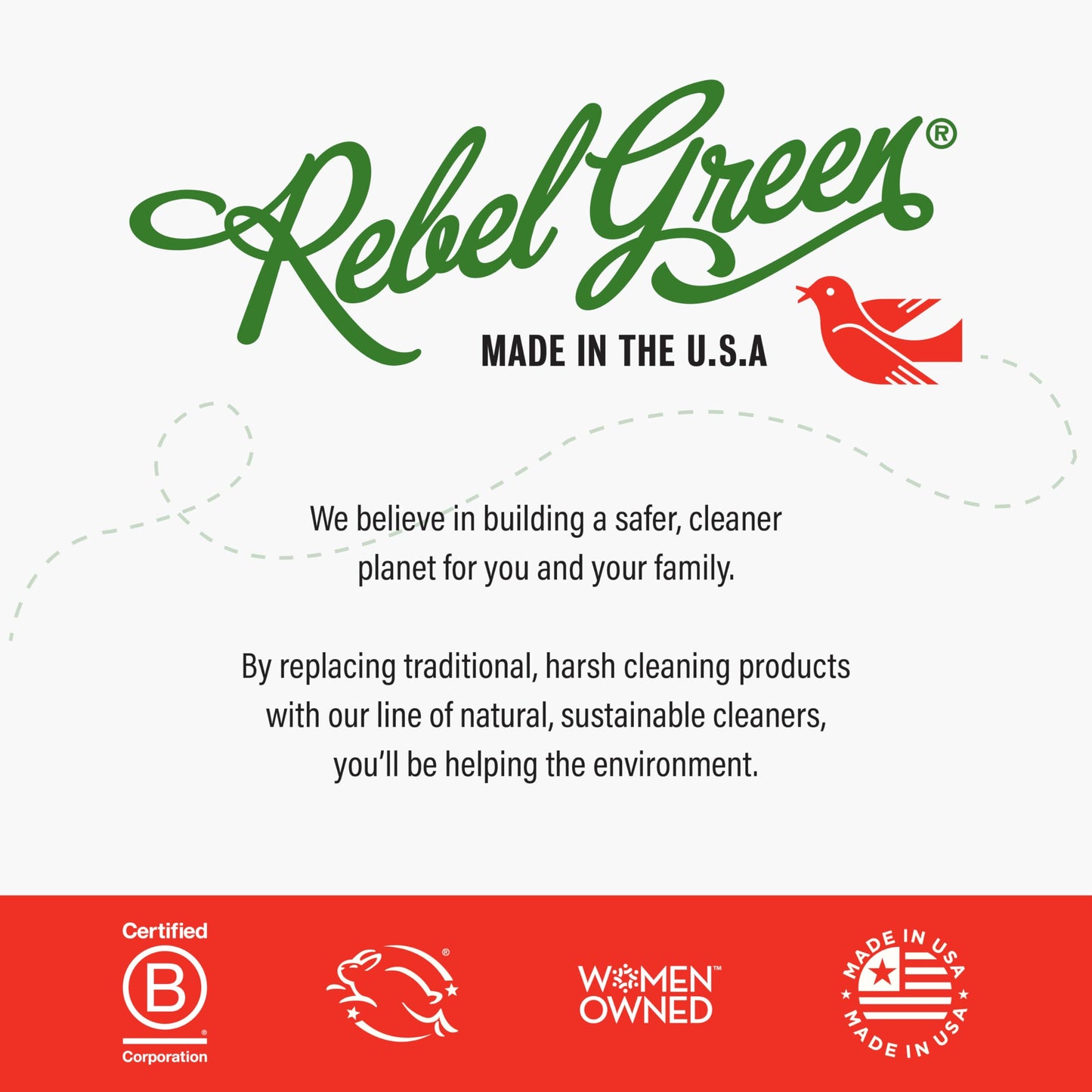 Rebel Green Fresh & Clean Hand Soap - Natural Liquid Hand Soap for Bathroom & Kitchen - Pink Lilac, 12 Fl oz, Pack of 2