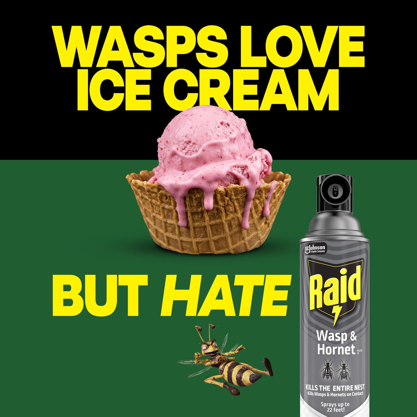 Raid Wasp & Hornet Killer Spray, Kills the Entire Nest, For Paper Wasps, Yellow Jackets, Mud Daubers and more, 14 oz (Pack of 2)