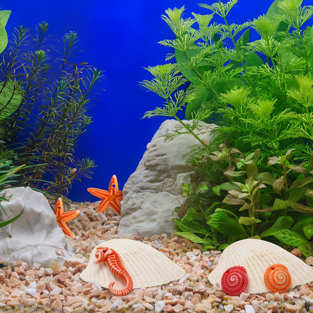 TENDYCOCO Mini Beach Seashells Sea Star Seahorse Natural Conch for Home Decorations Beach Theme Party Wedding DIY Crafts Fish Tank Vase Fillers Bonsai Decor 48pcs