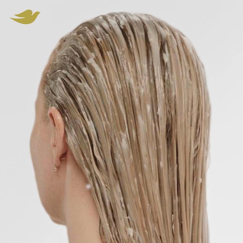 Dove Bond Strength Damage Therapy System - 4 Piece Hair Repair Treatment Set with Shampoo, Conditioner & Serum