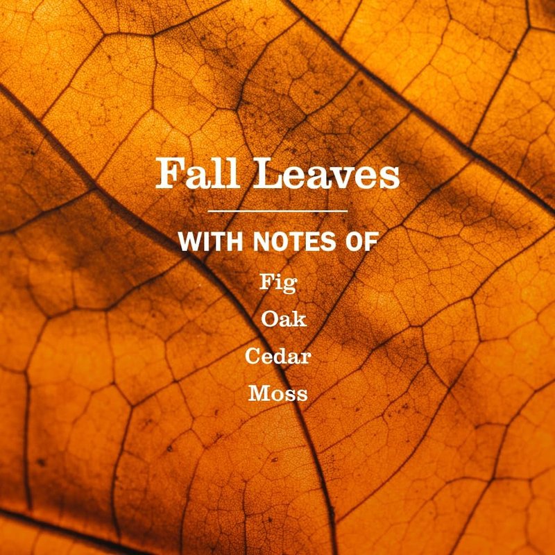 Multi-Surface Everyday Cleaner - Mrs. Meyer's Clean Day, Fall Leaves Scent, 16 Fl Oz Bottle | 3 Pack