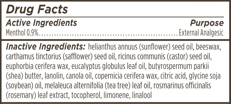 Burt's Bees Medicated Lip Balm, With Eucalyptus Oil and Menthol, Tint-Free, Natural Origin Lip Care, 4 Tubes, 0.15 oz.