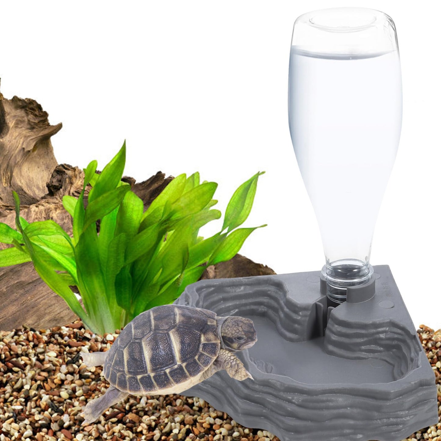 Scicalife Reptile Water Feeder - Automatic Water Dispenser Waterer Feeding Accessories for Turtle Frog Bearded Dragons Lizards Geckos for Terrarium Tank (Grey)