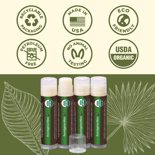 Earth's Daughter USDA Organic Lip Balm 6-Pack - Fruit Flavors, Beeswax, Coconut Oil, Vitamin E - Best Lip Repair Chapstick for Dry Cracked Lips - Moisturizing Lip Care
