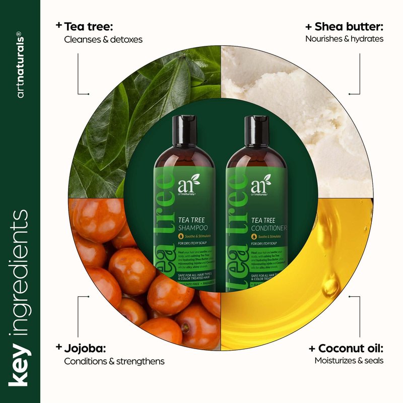 artnaturals Tea Tree Shampoo and Conditioner Set - (2 x 16 Fl Oz / 473ml) – Sulfate Free – Therapeutic Grade Tea Tree Essential Oil - Deep Cleansing for Dandruff, Lice, Dry Scalp and Itchy Hair
