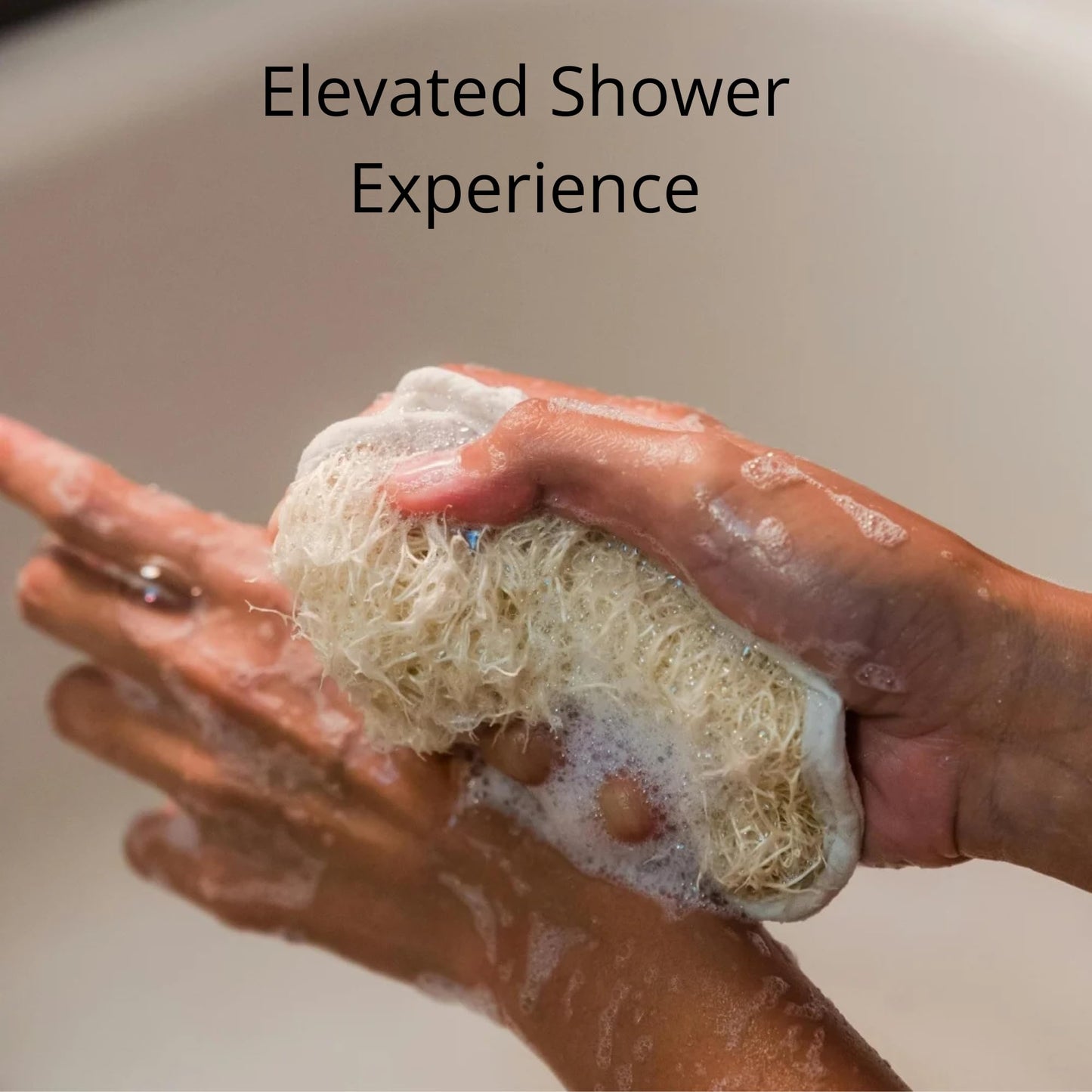 Natural Loofah Sponge – Premium Egyptian Shower Exfoliating Loofah, Lufas for Men and Women, 2‑Count