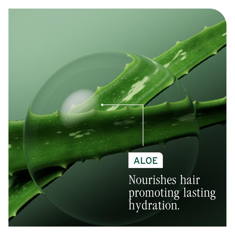 Biolage Hydra Source Shampoo - Softens, Moisturizes & Adds Shine, For Dry Hair, Infused with Micro-Filtered Aloe Vera & Fermented Hyaluronic Acid, Vegan & Paraben-Free, 13.5 Fl Oz